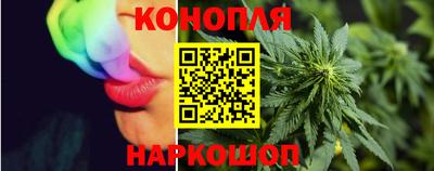 Альфа ПВП Нальчик