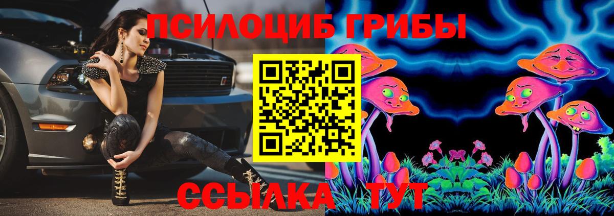 Галлюциногенные грибы Cubensis  Вход с VPN  Шахты 